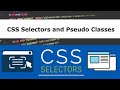 CSS Pseudo Classes, Attribute Selectors, and Form Styling! | Project PassionSite: Episode 8
