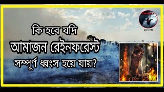 কি হবে যদি আমাজন রেইনফরেস্ট সম্পূর্ণ ধ্বংস হয়ে যায়? || Amazon || Unrevealed05