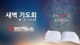 2024-11-26 새벽기도회 | 호세아 7:1-16 |  임기호목사 | 멜번순복음교회 | 새벽설교 | 새벽예배 | 새벽기도회 | 멜번교회 | 호세아