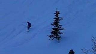 freeride kanin `