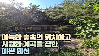 강원특별자치도 영월군 무릉도원면의 조용한 숲 속에 자리하고 시원하고 아늑한 계곡을 접한 펜션 - N165