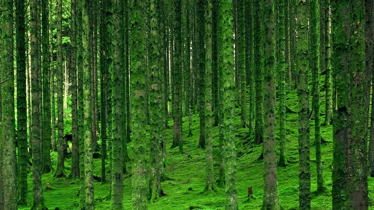 Bellissima Annalisa Cover Rock Chords Chordify