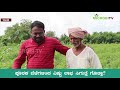 ಮಿಶ್ರ ಬೆಳೆಯ ಬಂಪರ್ ಇಳುವರಿಗೆ ಮದ್ದು.. he gets medicine for bumper yields in mixed crop microbi tv