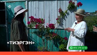 «Тиэргэн» биэриигэ: Өктөм далбар хотуттара (31.07.23)