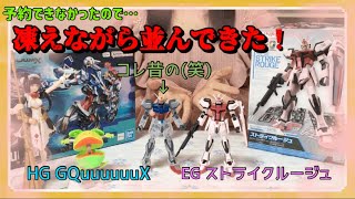 【新商品購入】HG GQuuuuuuX ＆ EGストライクルージュ購入