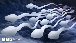 Male contraceptive pill a real possibility, say scientists - BBC News