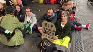 Video: Chris Packham joins Animal Rebellion protesters at Smithfield Market