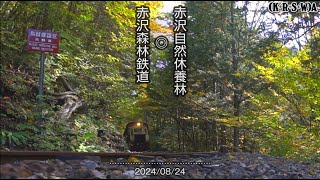 紅葉直前の赤沢森林鉄道・動画 2024年10月