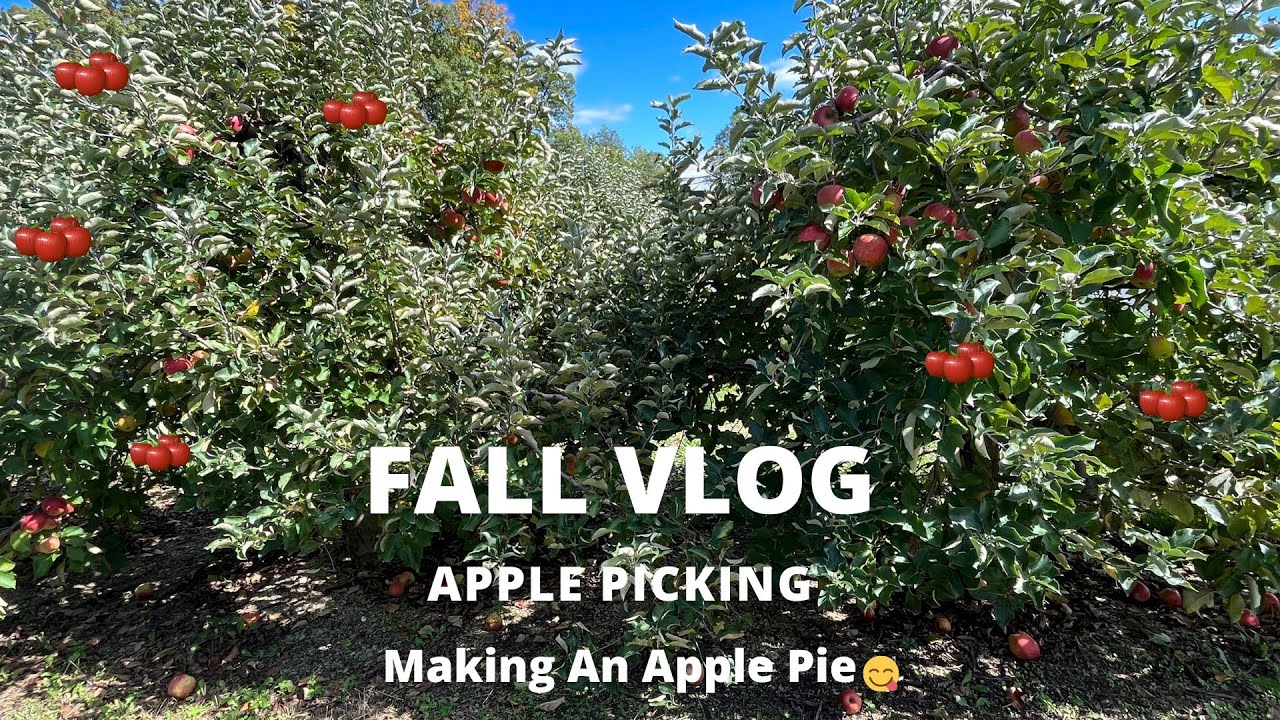 Fall Vlog Apple Picking Youtube