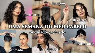 Uma semana do meu cabelo ondulado/cacheado na real 🤍 novo corte, rotina & cuidados | 12