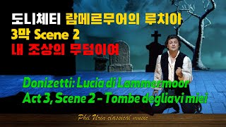 도니체티: 람메르무어의 루치아 | 3막 2장 | 체념과 깊은 슬픔| Donizetti: Lucia di Lammermoor, Act 3 - Tombe degli avi miei