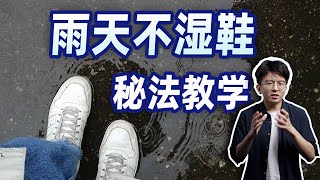 【毕导】常在雨天走，如何不湿鞋？ #冷知识 #科普 #科学