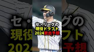 セ・リーグの現役ドラフト2024放出予想 #野球 #プロ野球 #現役ドラフト