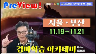 [경마방송 YB/공부방업로드용] 미리보기 11/19(금)∼21(일) 서울,부산 상위 전경주 '출전등록표상 우수기대마 리스트! 및 핵심 공략포인트는 공부방에 게재함.