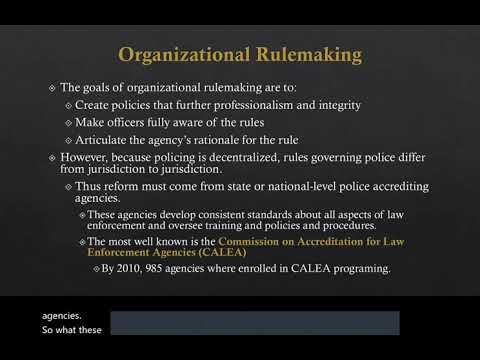 Which of the following branches of police organization is tasked with investigating charges of wrongdoing involving members of the department?