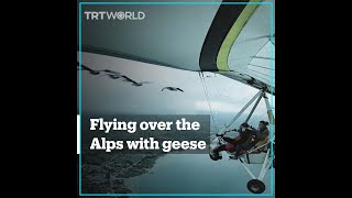 Woman flies alongside geese over the Alps