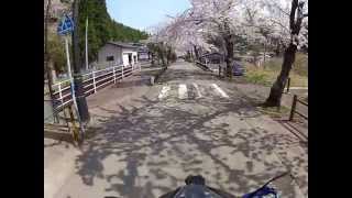 釜石市唐丹町本郷の桜並木をGoPRo2で撮影してみました！