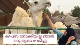 പൈസ നോക്കിയില്ല ഞാൻ ഒരു ഒട്ടകം വേടിച്ചു DAMMAM ZOO visit to Alhomaid zoo park