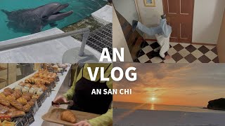 【VLOG】和歌山旅行🚌子連れアドベンチャーワールド🐼🐬🩷エネルギーランド🏠🐚🌈白浜温泉♨️