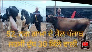 95308-01956, 52 ਨਗ ਗਾਮਾ ਦੇ ਸੇਲ ਪੰਜਾਬ ਜਰਸੀ ਦੁੱਧ 30, ਕਿੱਲੋ ਪਿੰਡ lohekhra