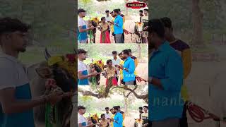 💥வீர தமிழச்சி ரஞ்சனி யார் தெரியுமா ❓#jallikattu #shorts #viral