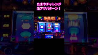 たまやチャレンジ激アツパターン！#short【新ハナビ　パチスロ】