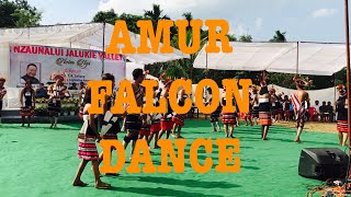 Awai Lim (Amur Falcon Dance) Performed in Nsim NGi Festival, Nzauna Lui.