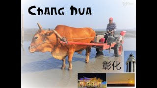 Taiwan Travel Guide Vlog Day 2 - Changhua \u0026 Taichung |芳苑潮間採蚵 | 芳苑燈塔 | 鹿港 | 台湾旅游