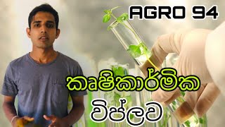 කෘෂි විප්ලව Agriculture revolutions.