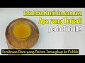 BIKIN GEGER.... MINUM REBUSAN KUNYIT DAN ASAM JAWA, APA YANG TERJADI PADA TUBUH?