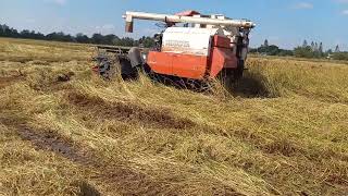 โค้งสุดท้ายของฤดูกาล🌾