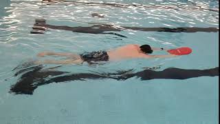 Lamar Aquatics Level 1 Dolphin Kick