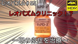 レオパズム＃55〜眼の炎症を治療〜