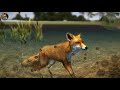 I am a fox! :D (a better animal) | Ultimate fox sim 2 | new game! | #1