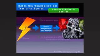 Staging bipolar disorder: Clinical, biochemical and funcional correlates