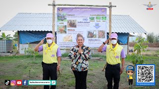 กิจกรรมจิตอาสาพาชม วิสาหกิจชุมชนศาสตร์พระราชาบ้านมั่นคงเมืองแม่สอด หน่วยพัฒนาการเคลื่อนที่ 33