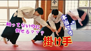 触らずに人を倒せますか！? 意識を誘導する不思議技　扶桑会492 掛け手 大東流合氣柔術