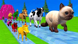 Paint \u0026 Animals Cow,Boar,Rabbit,Cat,T-Rex,Monkey Fountain Crossing Transformation Animal Cartoon