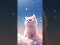 Amazing Cat🌺||🥰Cute Cat🥰||🍁WhatsApp status 🍁