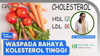 Waspada Bahaya Kolesterol Tinggi | Bincang Sehati