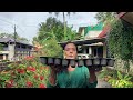 ശീതകാല പച്ചക്കറി വിത്തുകൾ നടേണ്ട വിധം sowing seeds in potting tray cauliflower cabbage carrot