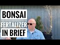 Bonsai Fertilizer in Brief