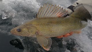 First Ice Walleyes!