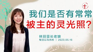 我们是否有常常被主的灵光照？｜每日 - 20230516