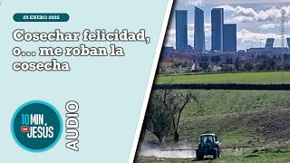 10 minutos con Jesús. Cosechar felicidad o... me roban la cosecha (29-01-25)