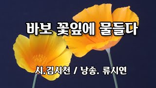 시낭송 ㅣ바보 꽃잎에 물들다 ㅣ김시천ㅣ사랑시ㅣ그리움