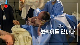 (도윤엄빠) ☆초고속☆ 양수터져 자연분만 / 초산모 /4시간 /40주5일 / 무통O관장O제모 O /출산 브이로그(vlog)