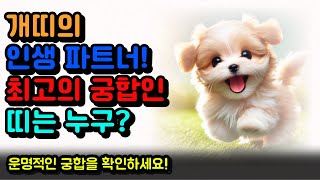 개띠와 궁합 총정리! 최고의 궁합과 피해야 할 띠는? | 풍수와 운세 분석\