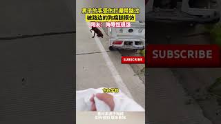 男子的手受傷打繃帶路過，被路邊的狗瘸腿模仿，網友：侮辱性很強！ #cuteanimal #萌宠 #pets