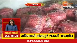 Washim Onion | कांद्याला प्रतिकिलो 3 रुपयांचा भाव, वाशिममधील शेतकरी आर्थिक अडचणीत | zee24taas